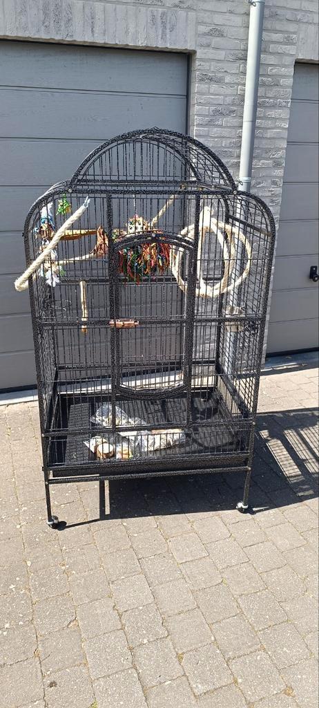 Grote papegaaien kooi + dure uv lampset + speeltjes, Dieren en Toebehoren, Vogels | Hokken en Kooien, Zo goed als nieuw, Ophalen