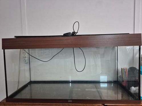 Aquarium van 180 liter, Dieren en Toebehoren, Vissen | Aquaria en Toebehoren, Zo goed als nieuw, Ophalen
