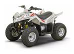 Kymco Maxxer 90, Motoren, 90 cc, 11 kW of minder, Moto6, 1 cilinder