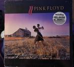 Pink Floyd, Verzenden, Gebruikt, 12 inch, Alternative