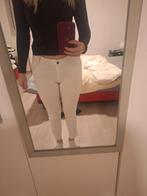 Wedstrijdbroek, Dieren en Toebehoren, Ophalen, Gebruikt, Dames, Onderkleding