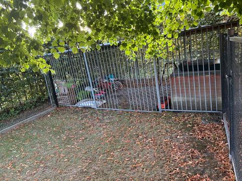 Te koop: hondenren – 6m op 3m, Tuin en Terras, Tuinhekken en Hekwerk, Zo goed als nieuw, IJzer, Met poort, Ophalen