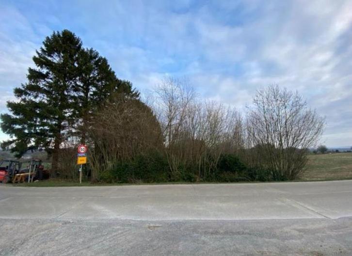 Très beau terrain à bâtir - Entre Romedenne et Surice, Immo, Gronden en Bouwgronden