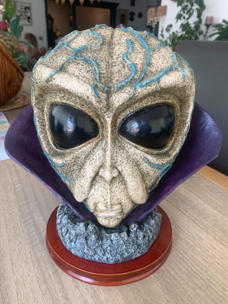 Zeer zeldzaam handgemaakte bust alien, Verzamelen, Beelden en Beeldjes, Zo goed als nieuw, Ophalen of Verzenden