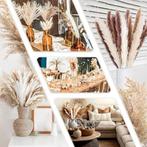 Herbe de pampa séchée | 130 pièces | Nouveau, Maison & Meubles, Accessoires pour la Maison | Fleurs séchées, Neuf, -, -, Zjtape