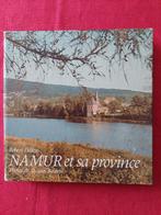 Namur et sa province Robert Delieu, Ophalen of Verzenden, Gelezen