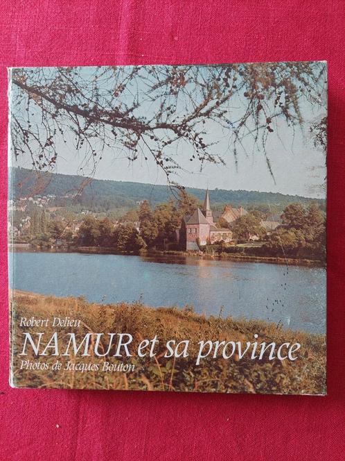 Namur et sa province Robert Delieu, Boeken, Geschiedenis | Stad en Regio, Gelezen, Ophalen of Verzenden