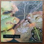 LP Jesus Is My Son, Cd's en Dvd's, Ophalen of Verzenden, Zo goed als nieuw