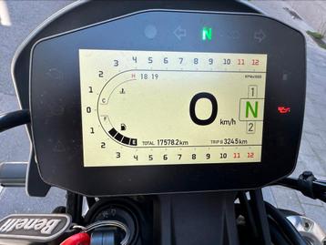 Benelli Leoncino 800-route beschikbaar voor biedingen