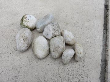 Witte kiezelstenen  beschikbaar voor biedingen
