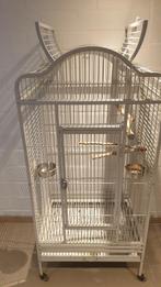 Papegaaien kooi  lichtgrijs155x72x55, Animaux & Accessoires, Oiseaux | Cages & Volières, Enlèvement, Utilisé, Métal, Cage à oiseaux