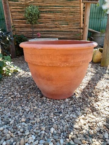 Grote terracotta bloempot 52 cm diameter, Enlèvement, Comme neuf