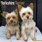 Calendrier Yorkshire Terrier 2016, Divers, Envoi, Calendrier annuel, Neuf