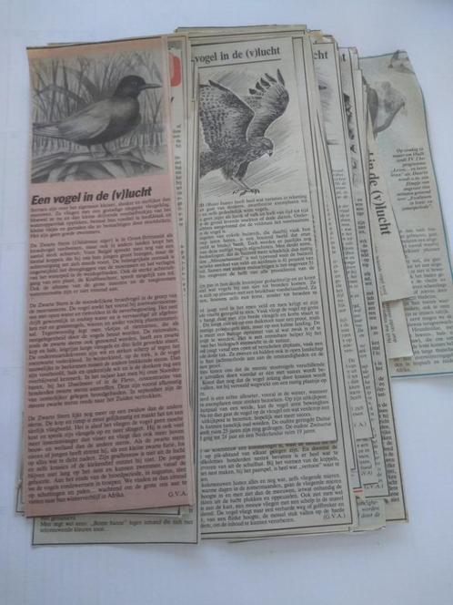 ALLES  OVER  VOGELS, Boeken, Dieren en Huisdieren, Gelezen, Vogels, Ophalen