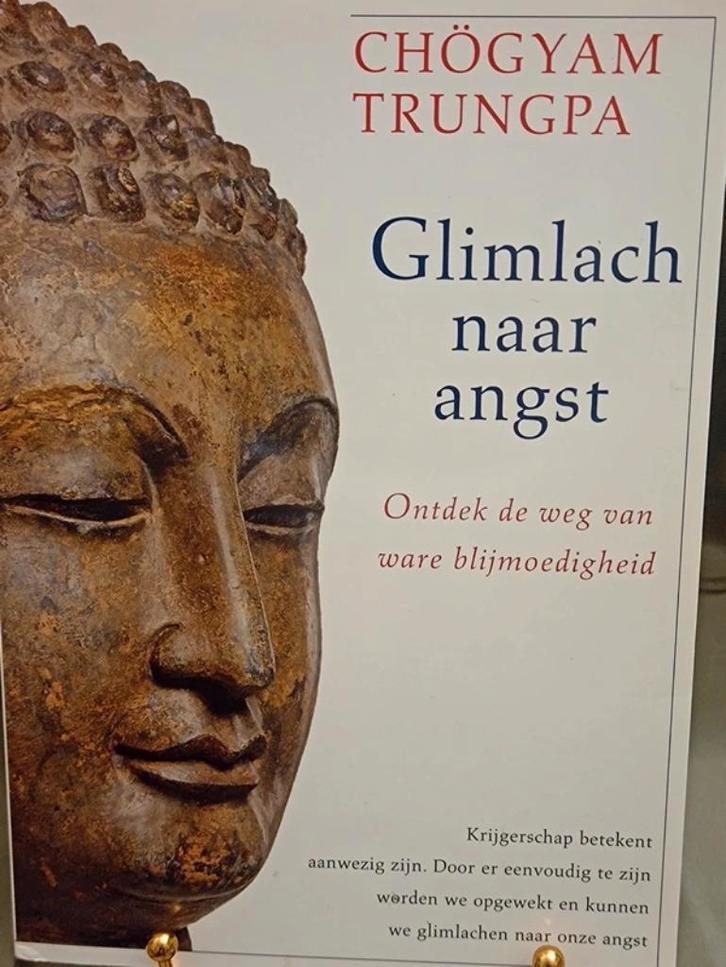 Glimlach naar angst, Boeken, Esoterie en Spiritualiteit, Zo goed als nieuw, Ophalen of Verzenden