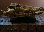 Saltwater Crocodile Skull in polished bronze, Ophalen of Verzenden