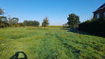 Bouwgrond Oosterzele beschikbaar voor biedingen