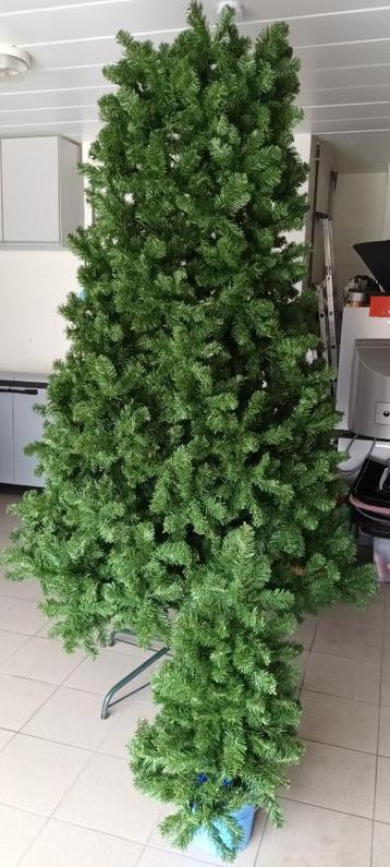 KERSTBOOM 3M. beschikbaar voor biedingen
