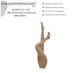 Presentatie Benen Vrouwelijk Model Etalagepoppengigant, Vêtements | Femmes, Leggings, Collants & Bodies, Neuf, Enlèvement ou Envoi