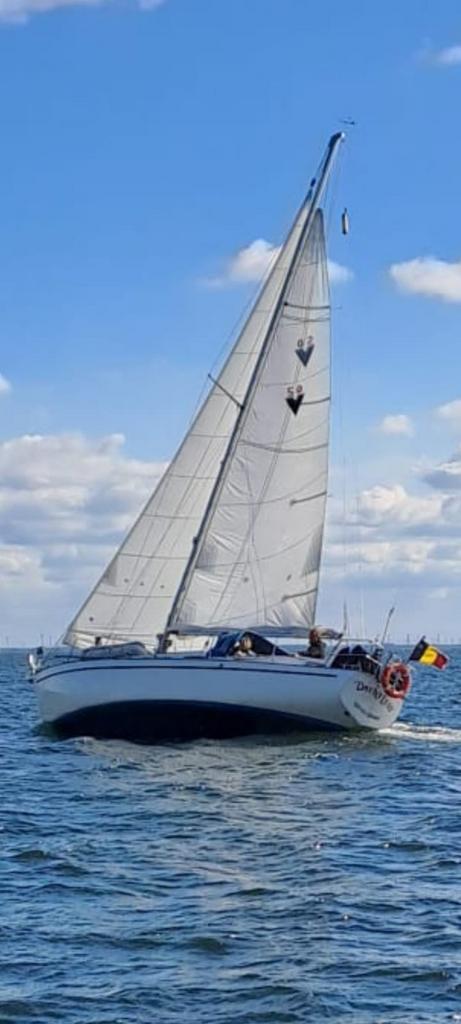 Voilier Vindö50, Watersport en Boten, Kajuitzeilboten en Zeiljachten, Gebruikt, Tourjacht of Cruiser, Polyester, 9 tot 12 meter