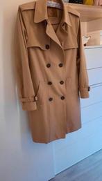 PRACHTIGE JAS . PERFEKTE STAAT MASSIMO DUTTI, Kleding | Dames, Jassen | Winter, Ophalen of Verzenden, Zo goed als nieuw