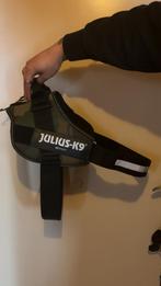 Yulus-k9, Ophalen, Nieuw