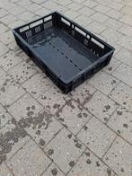 Zwarte bakjes, Doe-het-zelf en Bouw, Kratten en Dozen, Ophalen, 40 tot 60 cm, 50 tot 75 cm, Minder dan 35 cm