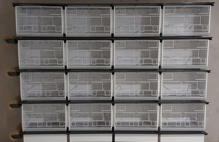 Terenziani CILEA 6040 draadkooien wand 28 stuks als nieuw, Dieren en Toebehoren, Vogels | Hokken en Kooien, Zo goed als nieuw