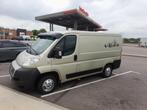 Fiat ducato camperbus gekeurd vvk, Caravans en Kamperen, Mobilhomes, Bedrijf, Fiat