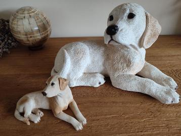 Labradors, Golden Retrievers van Castagna. Apart of samen beschikbaar voor biedingen