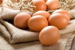 Verse eitjes van gezonde vrij uitlopende kippen in de weide, Diversen, Ophalen