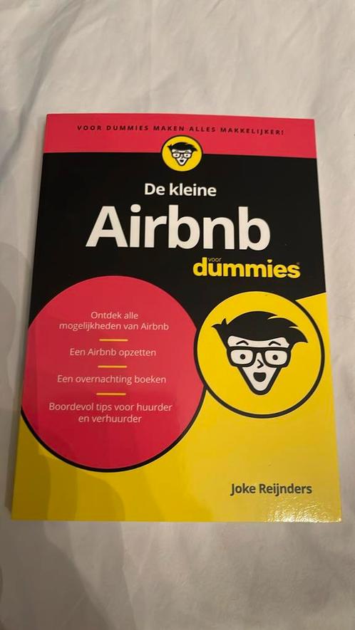 Joke Reijnders - De kleine Airbnb voor Dummies, Livres, Économie, Management & Marketing, Comme neuf, Enlèvement ou Envoi
