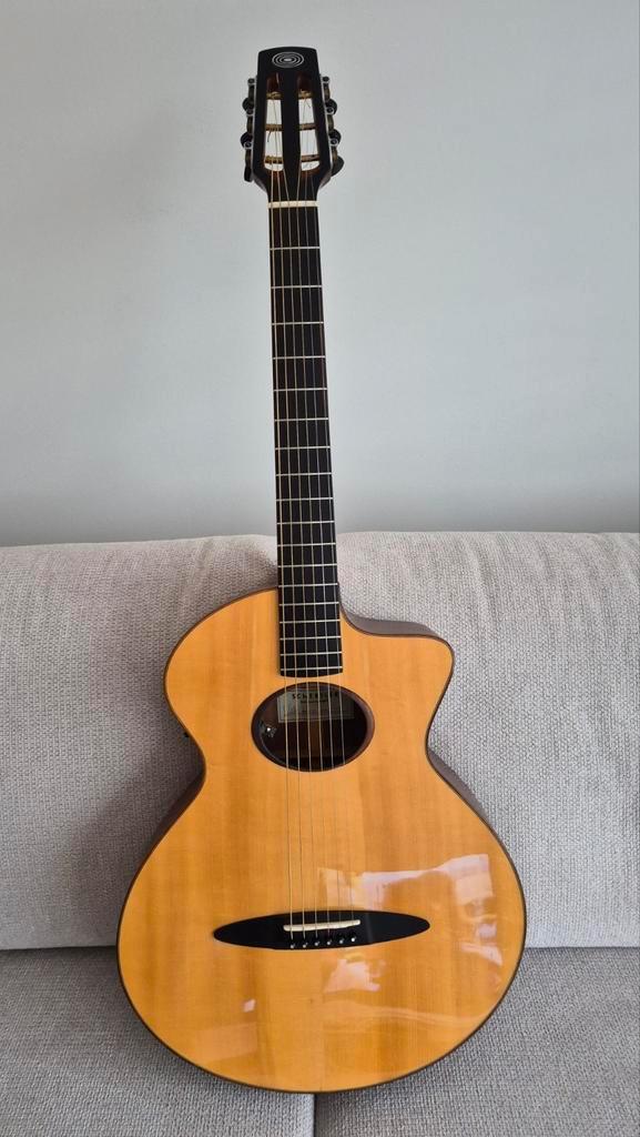 Schertler Pagelli SM, Musique & Instruments, Instruments à corde | Guitares | Acoustiques, Enlèvement