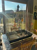Vogelkooi, Animaux & Accessoires, Oiseaux | Cages & Volières, Enlèvement, Cage à oiseaux