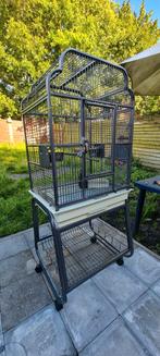 Cage pour perroquet, calopsite, inséparable, etc..., Animaux & Accessoires, Oiseaux | Cages & Volières, Enlèvement, Comme neuf