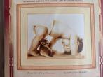 Kruissteekpakket 89, Hobby en Vrije tijd, Borduren en Borduurmachines, Ophalen of Verzenden, Nieuw