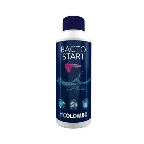 Colombo Bacto Start | 100 ml, Dieren en Toebehoren, Vissen | Aquaria en Toebehoren, Nieuw, Verzenden