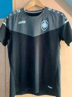 RAFC Jako shirt, Kleding | Heren, Sportkleding, Maat 48/50 (M), Ophalen of Verzenden, Zo goed als nieuw