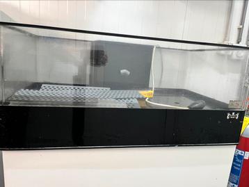 Homarium met onderstel beschikbaar voor biedingen