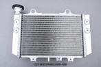 Radiateur Koeler Radiator AVDB BMW G310R / G 310 R 2021 2025, Motoren, Ophalen of Verzenden, Nieuw