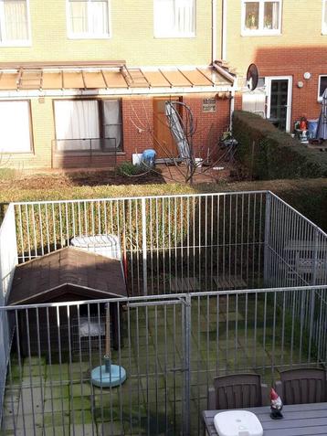Honden ren 4x4 beschikbaar voor biedingen