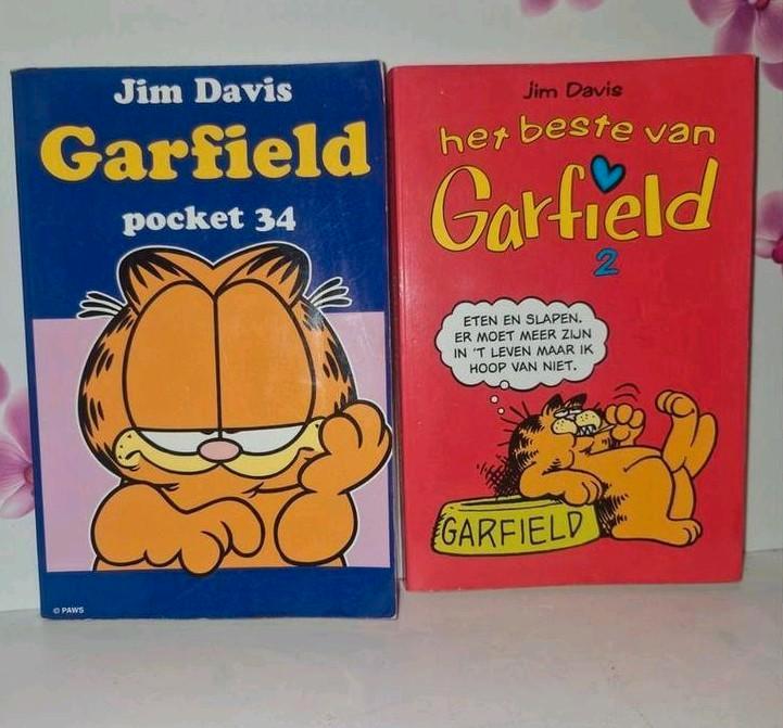 🧡 2 Garfield Boekjes, Verzamelen, Stripfiguren, Boek of Spel, Garfield, Ophalen of Verzenden