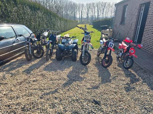 Lot van 6 pitbikes en 1quad te koop, Fietsen en Brommers, Brommers | Crossbrommers, Zo goed als nieuw, Ophalen of Verzenden