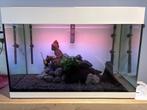 Aquarium, Dieren en Toebehoren, Vissen | Aquaria en Toebehoren, Ophalen, Zo goed als nieuw, Gevuld zoetwateraquarium