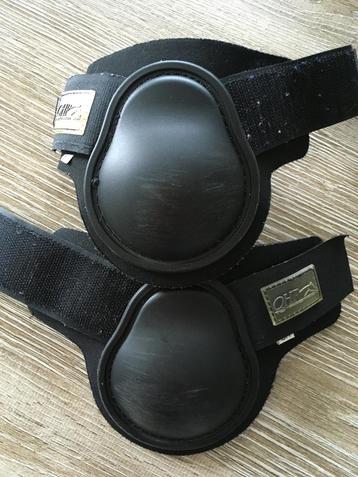 Zwarte schetland getten QHP beschikbaar voor biedingen