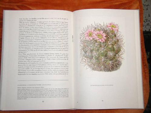 Verschillende Artis boeken, Boeken, Prentenboeken en Plaatjesalbums, Gelezen, Plaatjesalbum, Ophalen of Verzenden