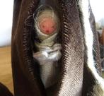 2 prachtige handgemaakte poppen met 1 babytje, Ophalen of Verzenden, Gebruikt