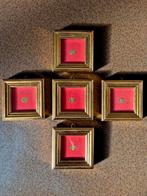 5 gouden munten paus, Ophalen of Verzenden