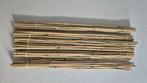 Bâtons de bambou (tonkin ou cravate), Jardin & Terrasse, Produits de culture, Enlèvement, Neuf