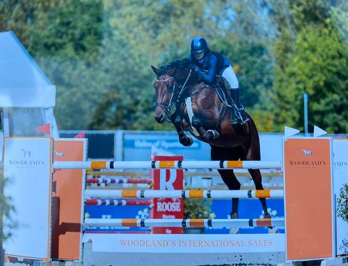 Springles en jumping begeleiding aangeboden, Dieren en Toebehoren, Paarden